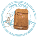 Roboocean 2 Button wireless rf remote