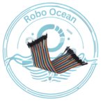 Roboocean 40 cm male to male jumper wire
