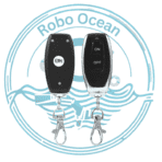 Roboocean 433Mhz 2 Button wireless rf remote
