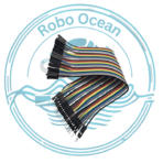 Roboocean jumper wire female to male 40cm